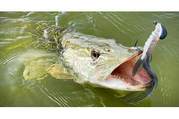 Zvýhodněné sady nástrah na štiky