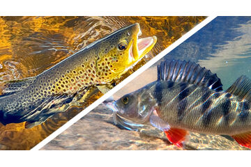 Zvýhodněné sady nástrah na pstruhy, okouny, UL a TROUT AREA 
