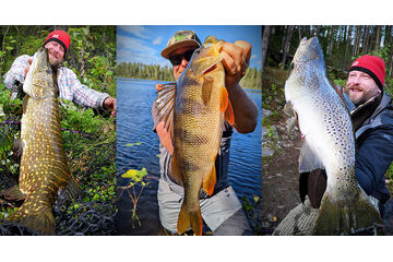 Zvýhodněné sady nástrah do Švédska