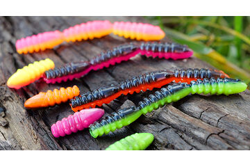 Larvy, červi a speciality