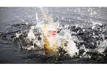 Zvýhodněné sestavy univerzální