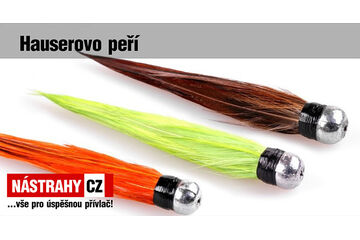 Hauserovo peří