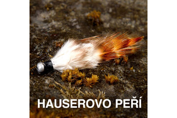 Hauserovo peří
